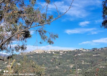 Vista - Rustico Località Moglie, Perinaldo - foto 22