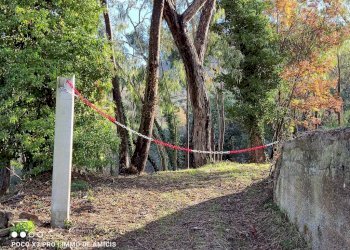 Terreno - Rustico Località Moglie, Perinaldo - foto 23