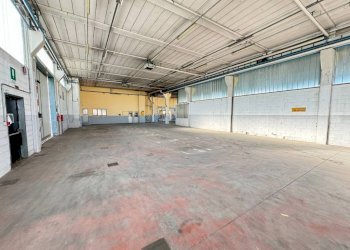 capannone - Capannone SS42, Seriate - foto 5