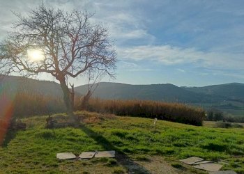 WhatsApp Image 2024-01-25 at 17.53.02 (1).jpeg - Agricultural land Amelia - photo 1