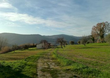 WhatsApp Image 2024-01-25 at 17.52.40.jpeg - Agricultural land Amelia - photo 2