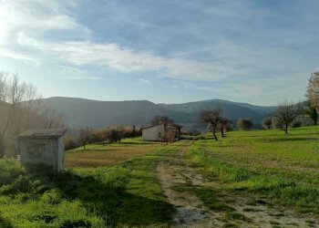 WhatsApp Image 2024-01-25 at 17.52.42.jpeg - Agricultural land Amelia - photo 3