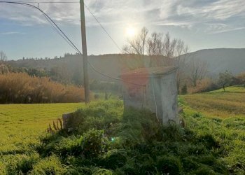 WhatsApp Image 2024-01-25 at 17.52.44.jpeg - Agricultural land Amelia - photo 4