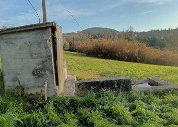 WhatsApp Image 2024-01-25 at 17.52.51.jpeg - Agricultural land Amelia - photo 5