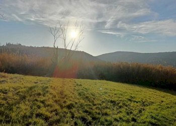 WhatsApp Image 2024-01-25 at 17.53.00 (2).jpeg - Agricultural land Amelia - photo 7