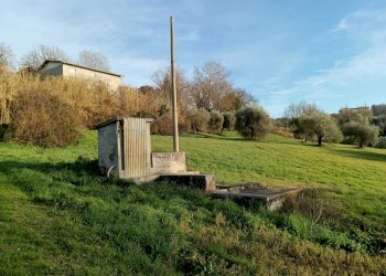 WhatsApp Image 2024-01-25 at 17.53.00.jpeg - Agricultural land Amelia - photo 9