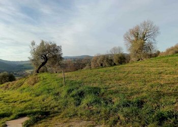 WhatsApp Image 2024-01-25 at 17.53.01 (1).jpeg - Agricultural land Amelia - photo 10