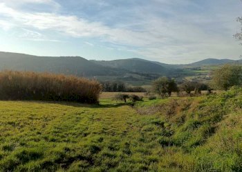 WhatsApp Image 2024-01-25 at 17.53.01.jpeg - Agricultural land Amelia - photo 11