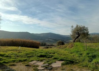 WhatsApp Image 2024-01-25 at 17.53.02.jpeg - Agricultural land Amelia - photo 13