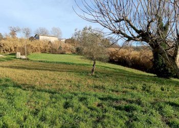 WhatsApp Image 2024-01-25 at 17.53.03 (1).jpeg - Agricultural land Amelia - photo 14