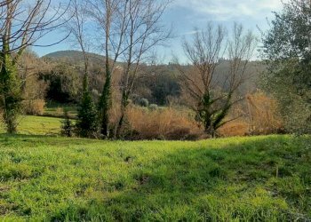 WhatsApp Image 2024-01-25 at 17.53.12.jpeg - Agricultural land Amelia - photo 16