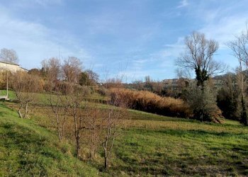 WhatsApp Image 2024-01-25 at 17.53.15 (2).jpeg - Agricultural land Amelia - photo 19