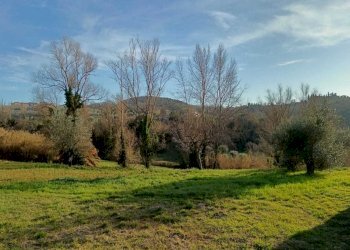 WhatsApp Image 2024-01-25 at 17.53.15 (3).jpeg - Agricultural land Amelia - photo 20