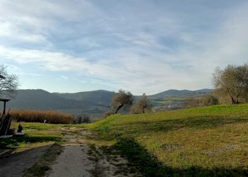 WhatsApp Image 2024-01-25 at 17.53.15 (4).jpeg - Agricultural land Amelia - photo 21