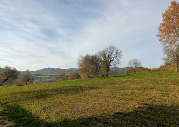 WhatsApp Image 2024-01-25 at 17.53.15 (5).jpeg - Agricultural land Amelia - photo 22