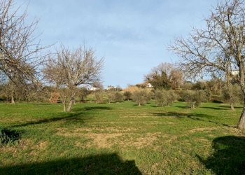 WhatsApp Image 2024-01-25 at 17.53.16 (1).jpeg - Agricultural land Amelia - photo 25