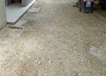 IMG-20240515-WA0009.jpg - Attic Riccione - photo 17