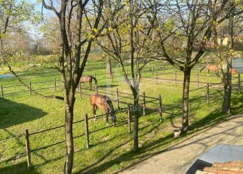Lodi Maneggio in Vendita - Agritourism CASCINA CA DE ZECCHI, Tavazzano con Villavesco - photo 2