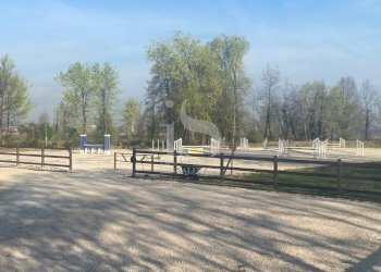 Lodi Maneggio in Vendita - Agritourism CASCINA CA DE ZECCHI, Tavazzano con Villavesco - photo 8