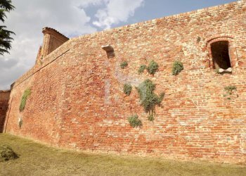 Piemonte Castello In Vendita - Castle Alba - photo 15