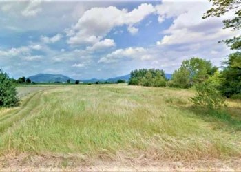 1 - Terreno agricolo via dei Sodi, Signa - foto 1