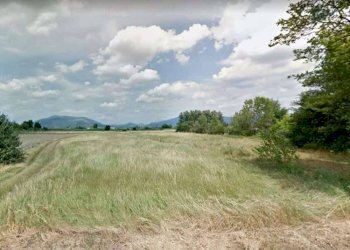 9 - Terreno agricolo via dei Sodi, Signa - foto 9