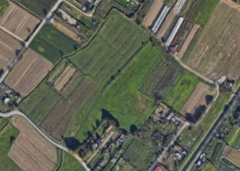 13 - Terreno agricolo via dei Sodi, Signa - foto 13