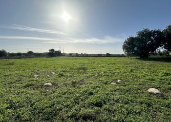 IMG_9780.JPG - Rustico Strada Provinciale 45, Modica - foto 4