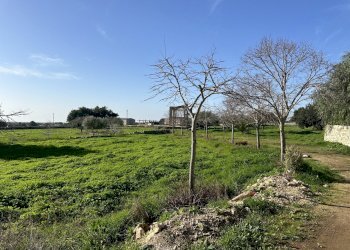 IMG_9781.JPG - Rustico Strada Provinciale 45, Modica - foto 5