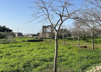 IMG_9782.JPG - Rustico Strada Provinciale 45, Modica - foto 6