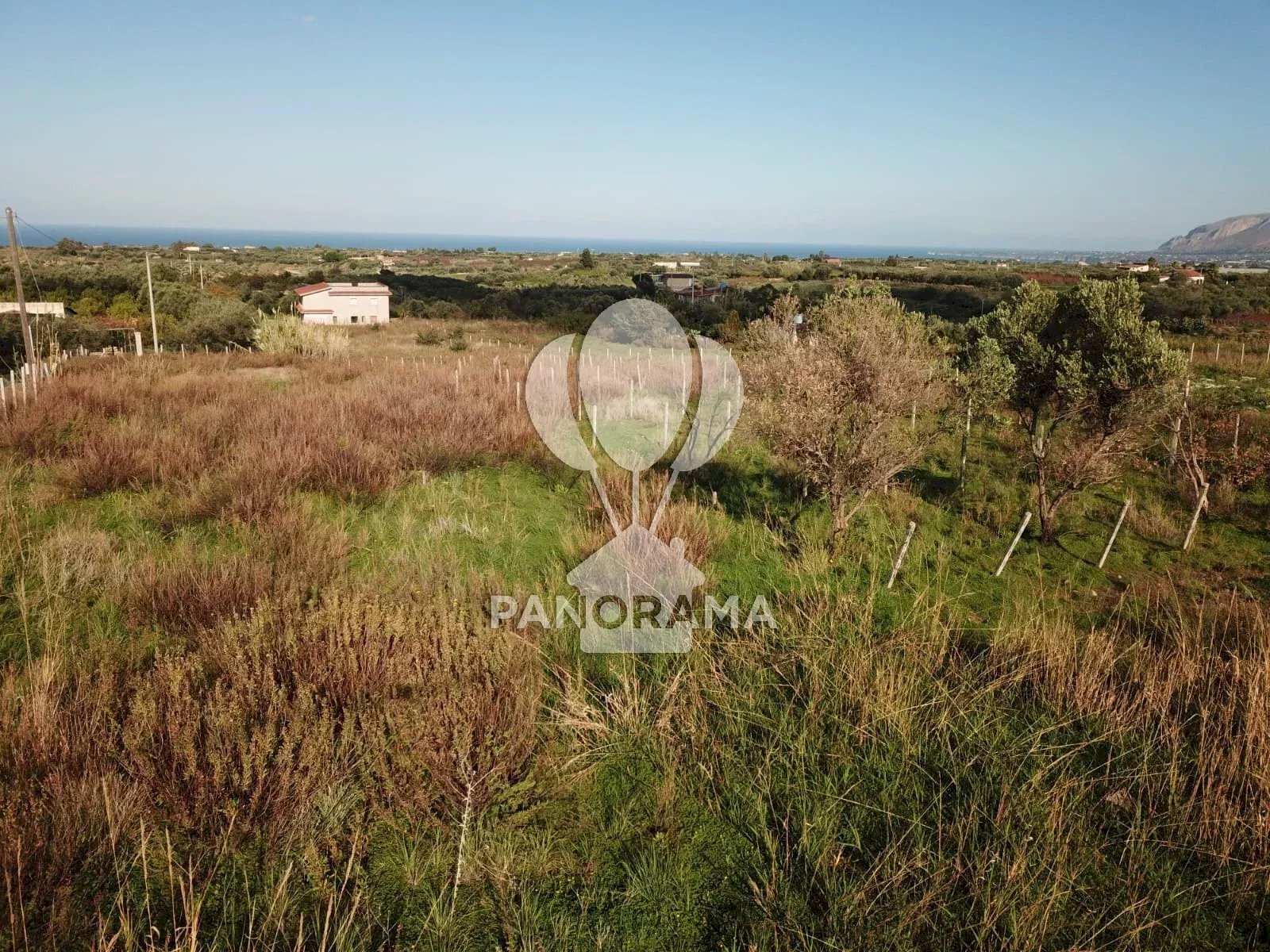 Terreno agricolo Partinico - foto 3