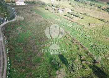 Terreno agricolo Partinico - foto 1