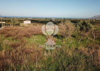Terreno agricolo Partinico - foto 3