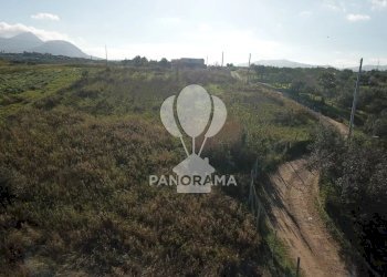 Terreno agricolo Partinico - foto 6