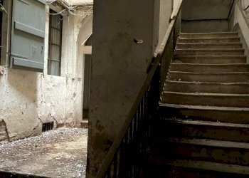 Stable - Palace Reggio nell'Emilia - photo 3