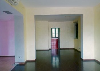 Negozio Reggio nell'Emilia - foto 2