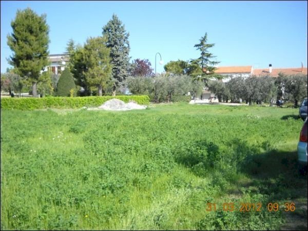 3 - Terreno edificabile Castorano - foto 3