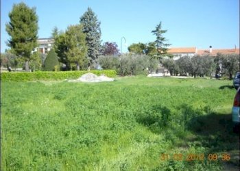 3 - Terreno edificabile Castorano - foto 3