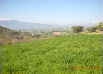 4 - Terreno edificabile Castorano - foto 4