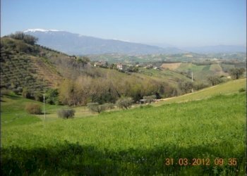 5 - Terreno edificabile Castorano - foto 5