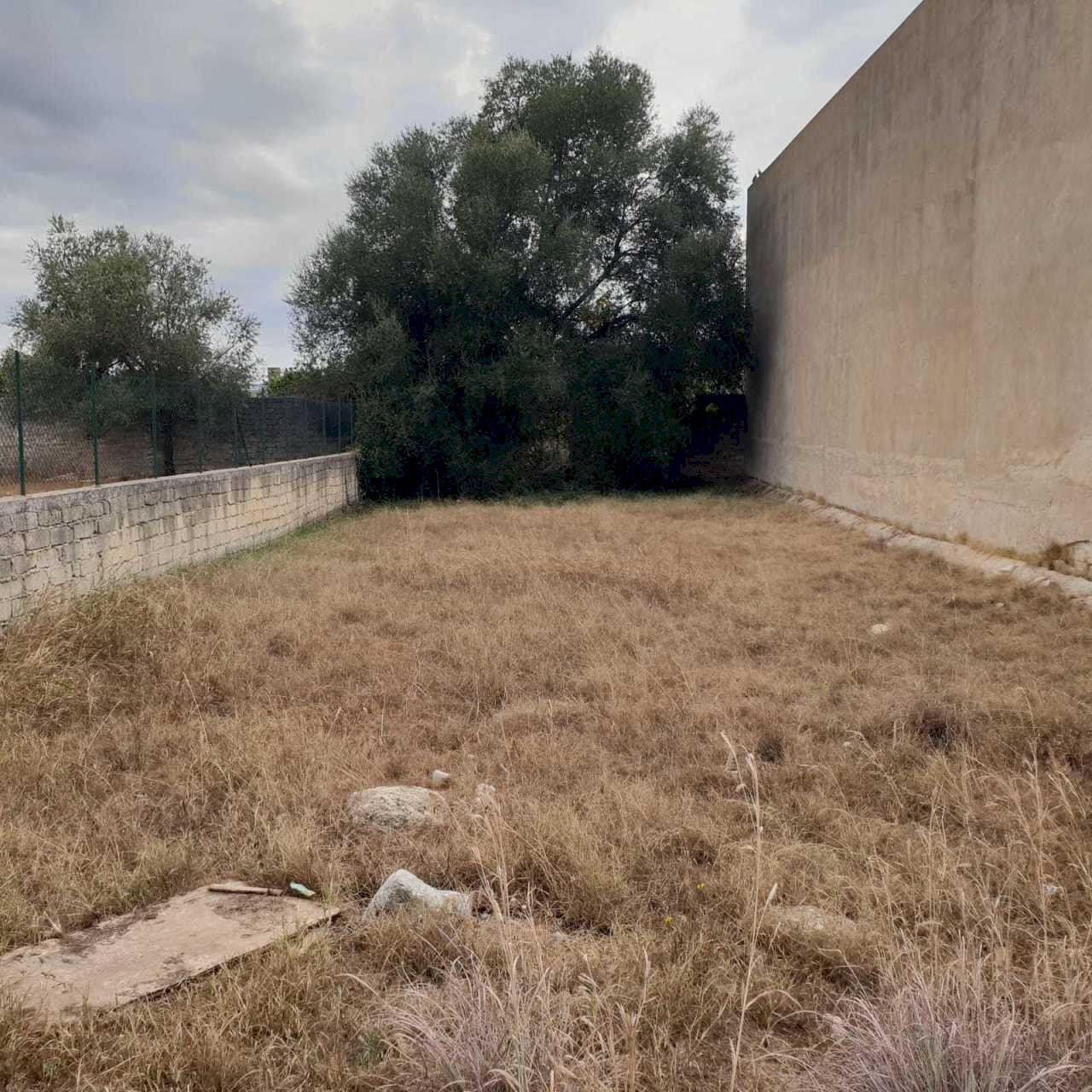 3.jpg - Terreno edificabile Floridia - foto 1