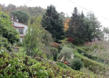 9e2b53d0-b97d-424d-92a1-ac7da8fa27b1.jpg - Casa indipendente Fosdinovo - foto 18