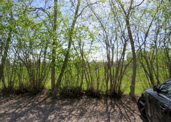 Farmhouse Rubiera - photo 9