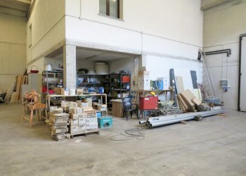 Capannone Reggio nell'Emilia - foto 3