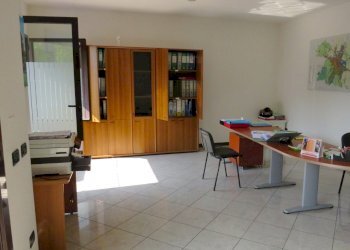 Capannone Reggio nell'Emilia - foto 12