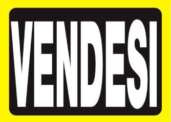 Capannone Reggio nell'Emilia - foto 1