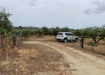Agricultural land Contrada Misilifurmi, Sciacca - photo 2