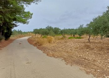 Agricultural land Contrada Misilifurmi, Sciacca - photo 3