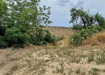 Agricultural land Contrada Misilifurmi, Sciacca - photo 6