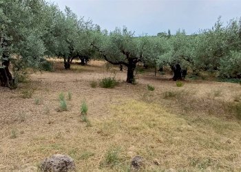 Agricultural land Contrada Misilifurmi, Sciacca - photo 7